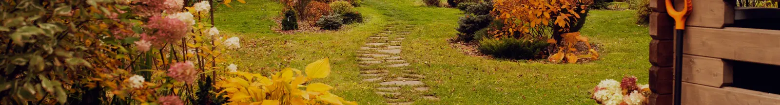 Home Header - Autumn Welcome to Skylark Garden Centre!