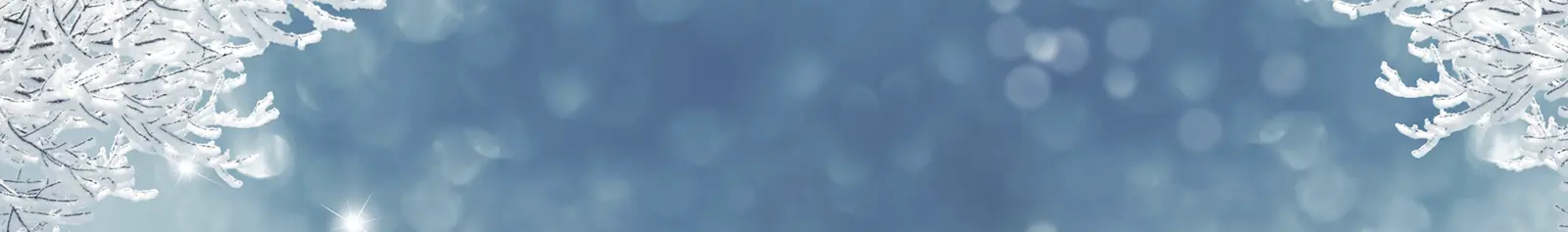 Home Header - Winter Welcome to Skylark Garden Centre!