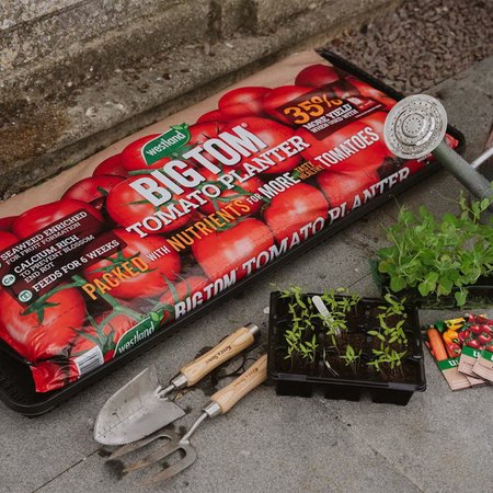 Big Tom Tomato Planter 55L (Peat Free) - image 2