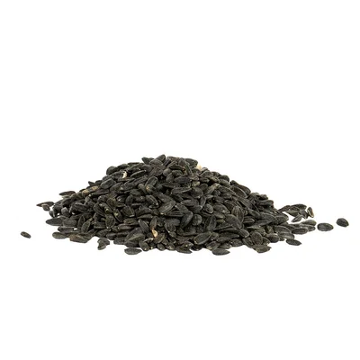 Gardman Sunflower Seed 2.8kg - image 2