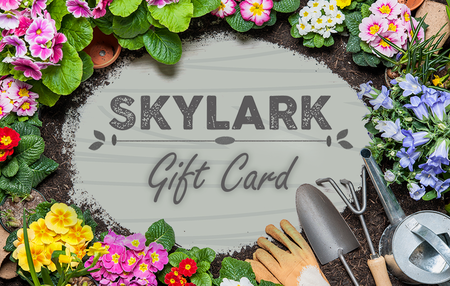 Skylark Digital Gift Card (e-Voucher)